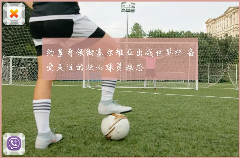 约基奇领衔塞尔维亚出战世界杯 备受关注的核心球员动态