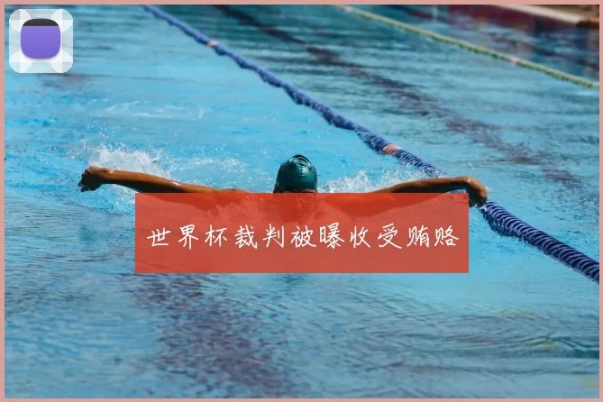 世界杯裁判被曝收受贿赂