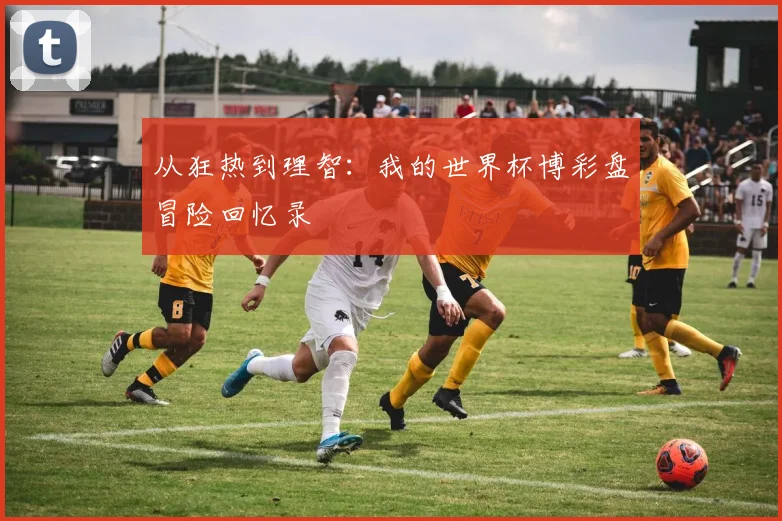 从狂热到理智:我的世界杯博彩盘冒险回忆录