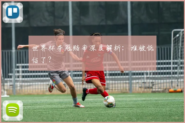 世界杯夺冠赔率深度解析:谁被低估了?