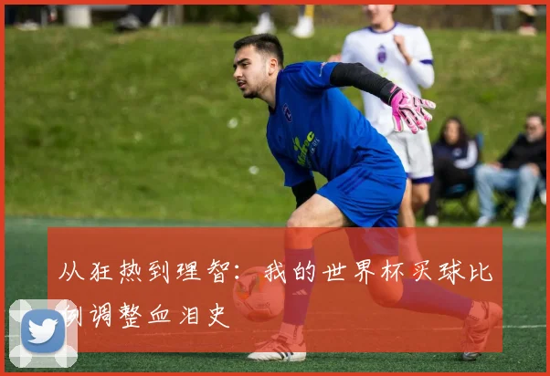 从狂热到理智：我的世界杯买球比例调整血泪史