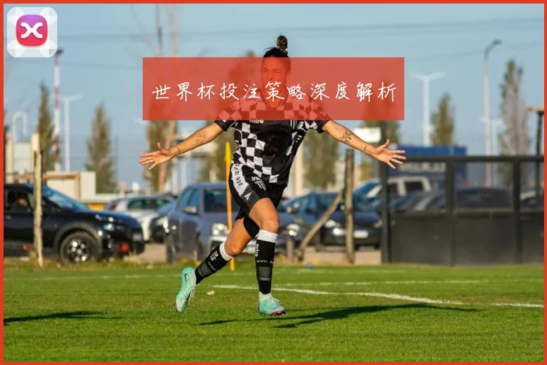 世界杯投注策略深度解析