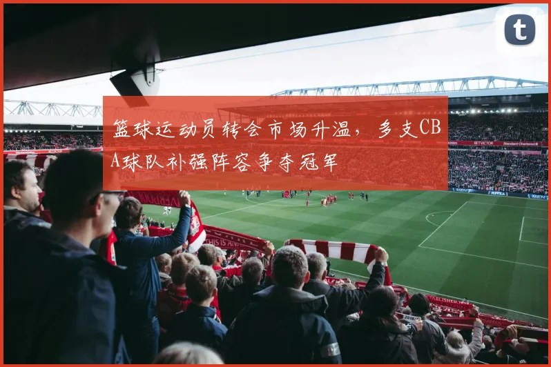 篮球运动员转会市场升温,多支CBA球队补强阵容争夺冠军