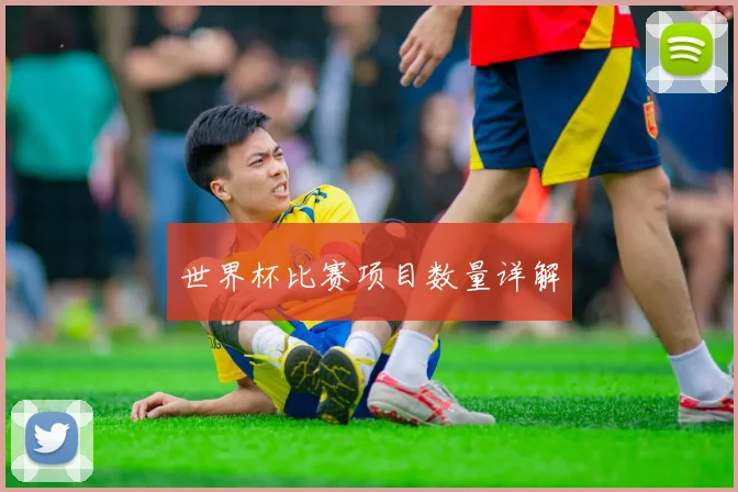 世界杯比赛项目数量详解